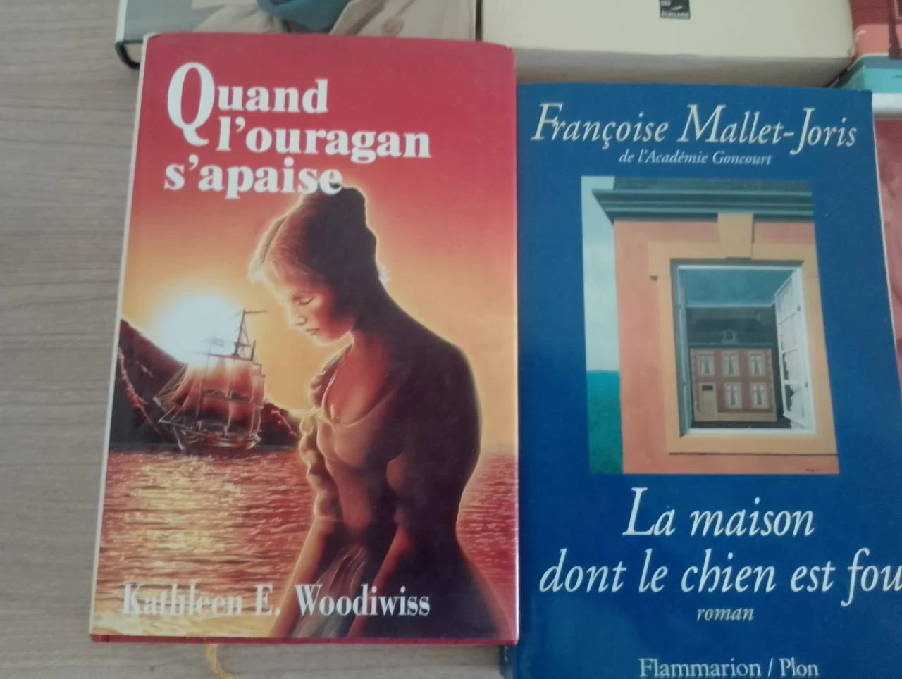 Roman groot volume lot van 10 (aanbieding voor het weekend)(2) – photo 5